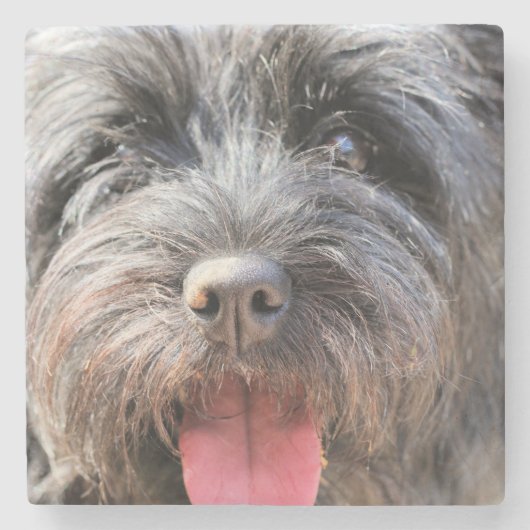 曖昧 ストーンコースター (正面)