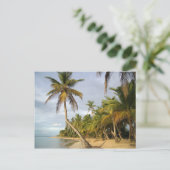 曲がったヤシ ポストカード (スタンド正面)