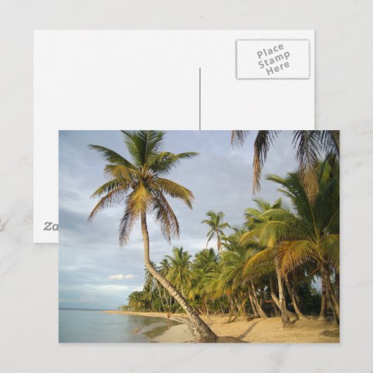 曲がったヤシ ポストカード (正面/裏面)