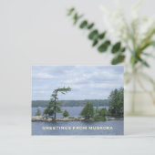 曲がった木、Muskoka、オンタリオ、カナダ ポストカード (スタンド正面)