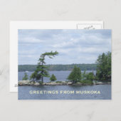 曲がった木、Muskoka、オンタリオ、カナダ ポストカード (正面/裏面)