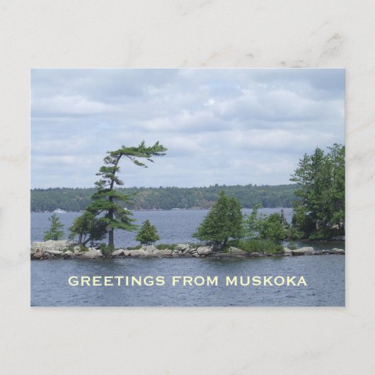 曲がった木、Muskoka、オンタリオ、カナダ ポストカード (正面)