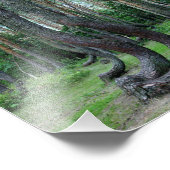 曲がった森 – ポーランド フォトプリント            (角)