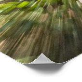 曲がった熱帯雨林を通る木道 ポスター (角)