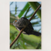 曲がりくねった地面の鳩 ジグソーパズル (縦)