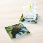 曲がりくねった地鳩 ガラスコースター (アングル)