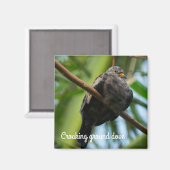 曲がりくねった地鳩 マグネット (正面/裏面)