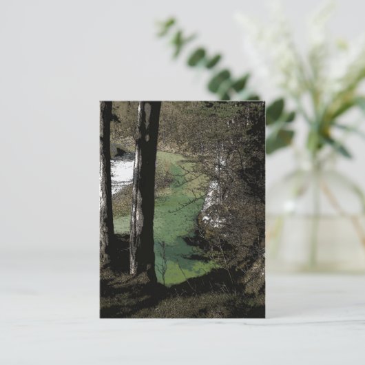 曲がりくねった川 ポストカード (スタンド正面)