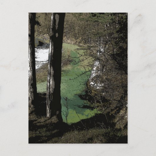 曲がりくねった川 ポストカード (正面)