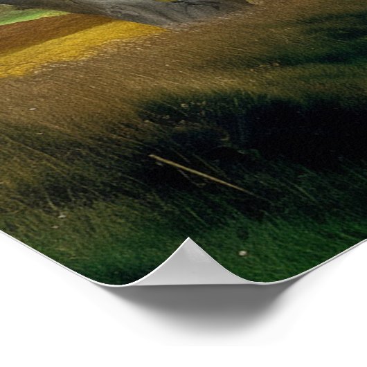 曲がりくねった田舎道 ポスター (角)