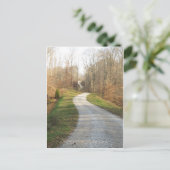曲がりくねった田舎道 ポストカード (スタンド正面)