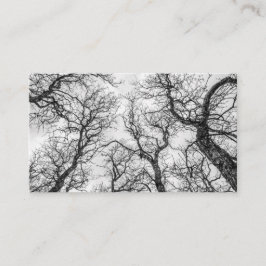 曲がりくねった裸の木のてっぺん 名刺