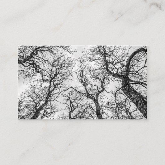 曲がりくねった裸の木のてっぺん 名刺 (正面)