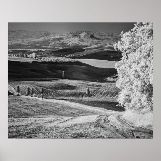 曲がりくねった道路の白黒ビュー ポスター (正面)