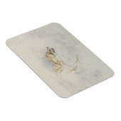 曲がりキツネの勉強、右のversoに直面する：フィン マグネット (右側)