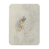 曲がりキツネの勉強、右のversoに直面する：フィン マグネット (縦)