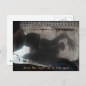 曲げ、光が当たるように曲げる ポストカード (正面/裏面)