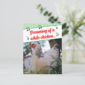 曲のおもしろい歌詞が白い鶏の写真 シーズンポストカード (スタンド正面)