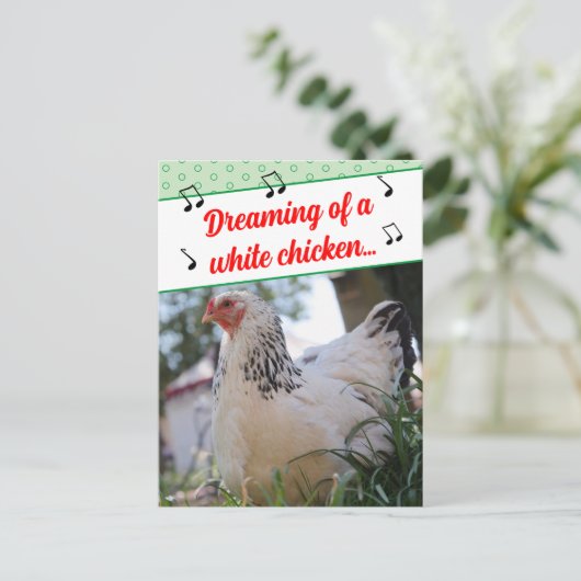 曲のおもしろい歌詞が白い鶏の写真 シーズンポストカード (スタンド正面)