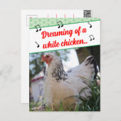 曲のおもしろい歌詞が白い鶏の写真 シーズンポストカード (正面/裏面)