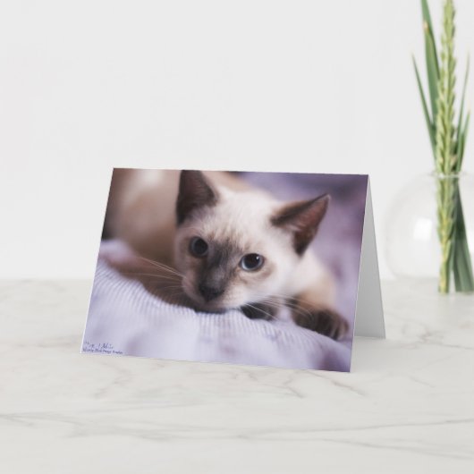 曲りくねってかわいいカード カード (正面)