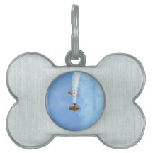 曲技飛行の複葉機