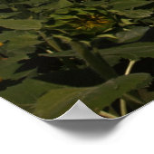 曲率 ポスター (角)