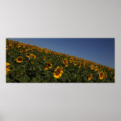 曲率 ポスター (正面)