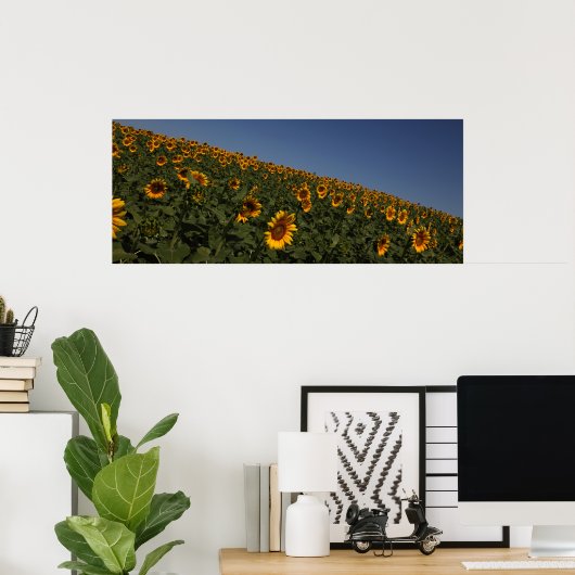 曲率 ポスター (ホームオフィス)