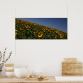 曲率 ポスター (キッチン)