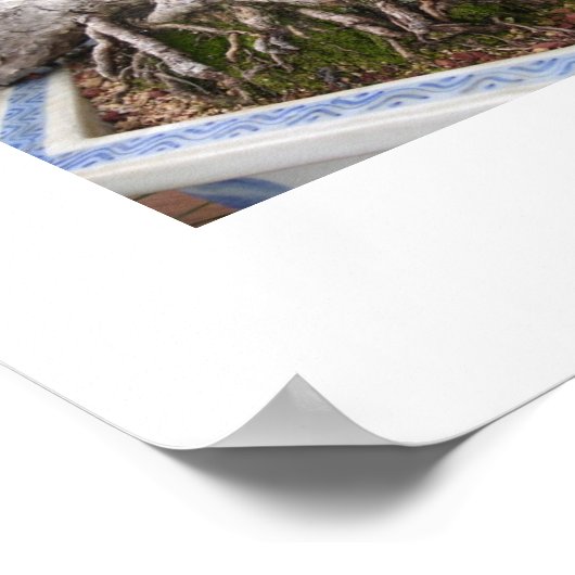 曲盆栽 ポスター (角)