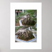 曲盆栽 ポスター (正面)