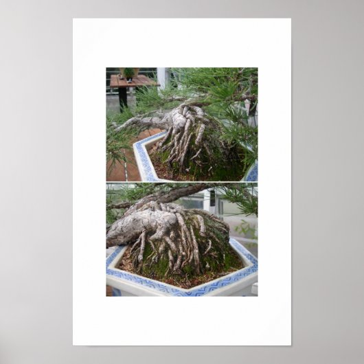 曲盆栽 ポスター (正面)