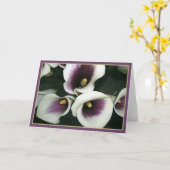 曲線のオランダカイウ カード (黄色い花)