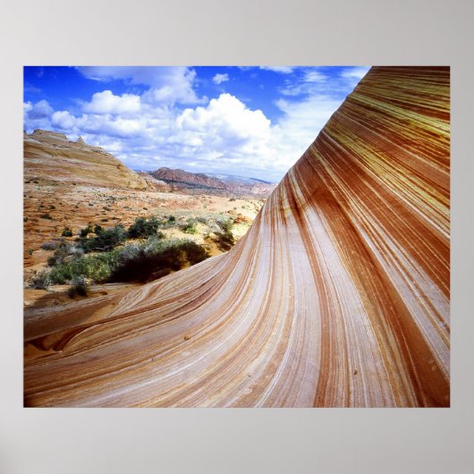 曲線 ポスター (正面)