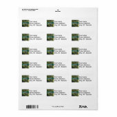 更年期レーン ラベル (フルシート)