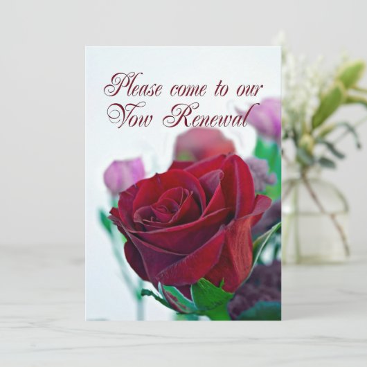 更新の申請 招待状 (スタンド正面)