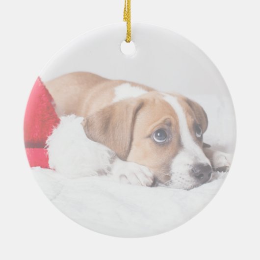 書お洒落道ペット写真初めてのクリスマス セラミックオーナメント (裏面)