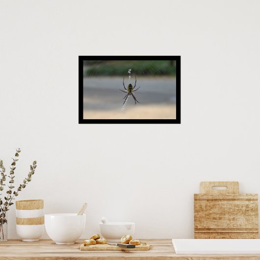 書クモ ポスター (キッチン)