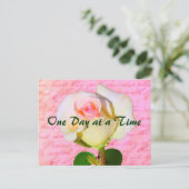 書バラ ポストカード (スタンド正面)