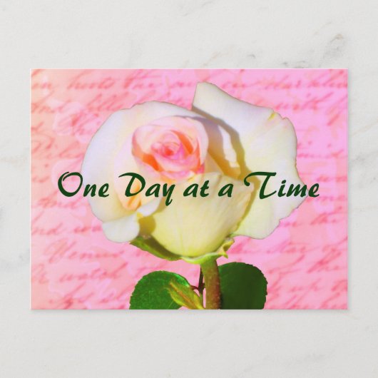 書バラ ポストカード (正面)