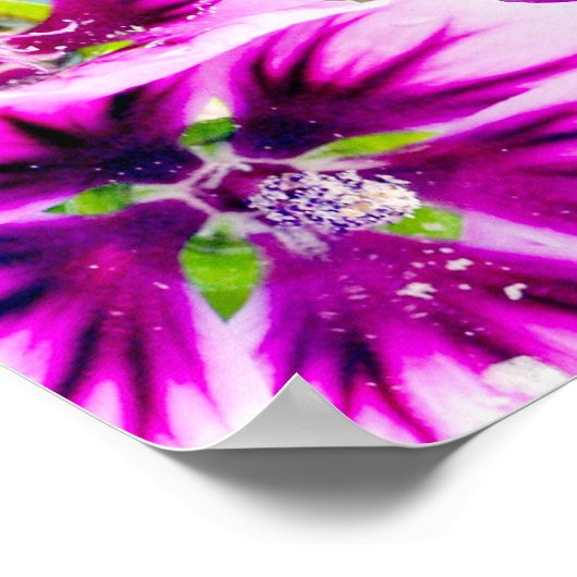 書ビジョン！ ポスター (角)