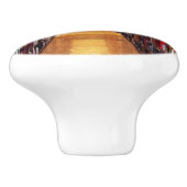 書庫の棚セラミックノブ セラミックノブ (側面)