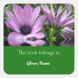 書籍プレート、紫のデイジー花 スクエアシール