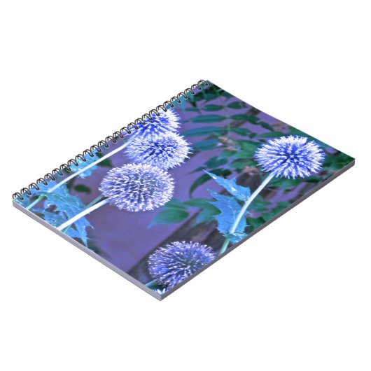 書誌 ノートブック (左側)