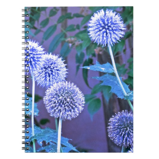 書誌 ノートブック (正面)