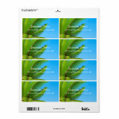 書道エレガントテンプレートブモダンルースカイパームズ ラベル (フルシート)