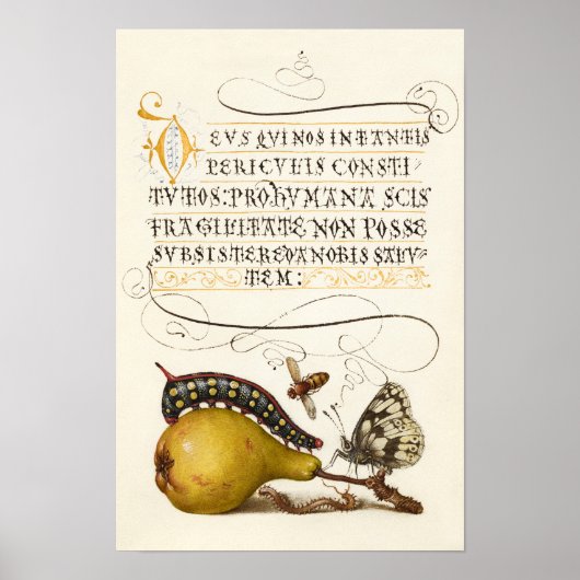 書道ギルドイニシャルヴィンテージ梨のバグ ポスター (正面)