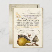 書道ギルドイニシャルヴィンテージ梨のバグ ポストカード (正面/裏面)