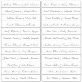 書道ゲスト名ラベル透明 シール